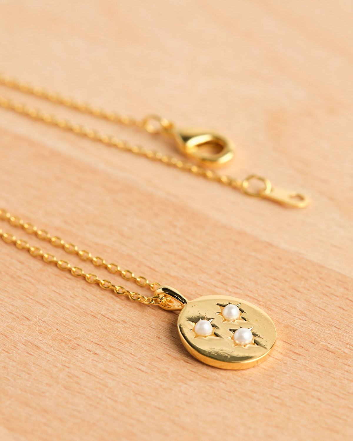 18K Plated Forever Necklace