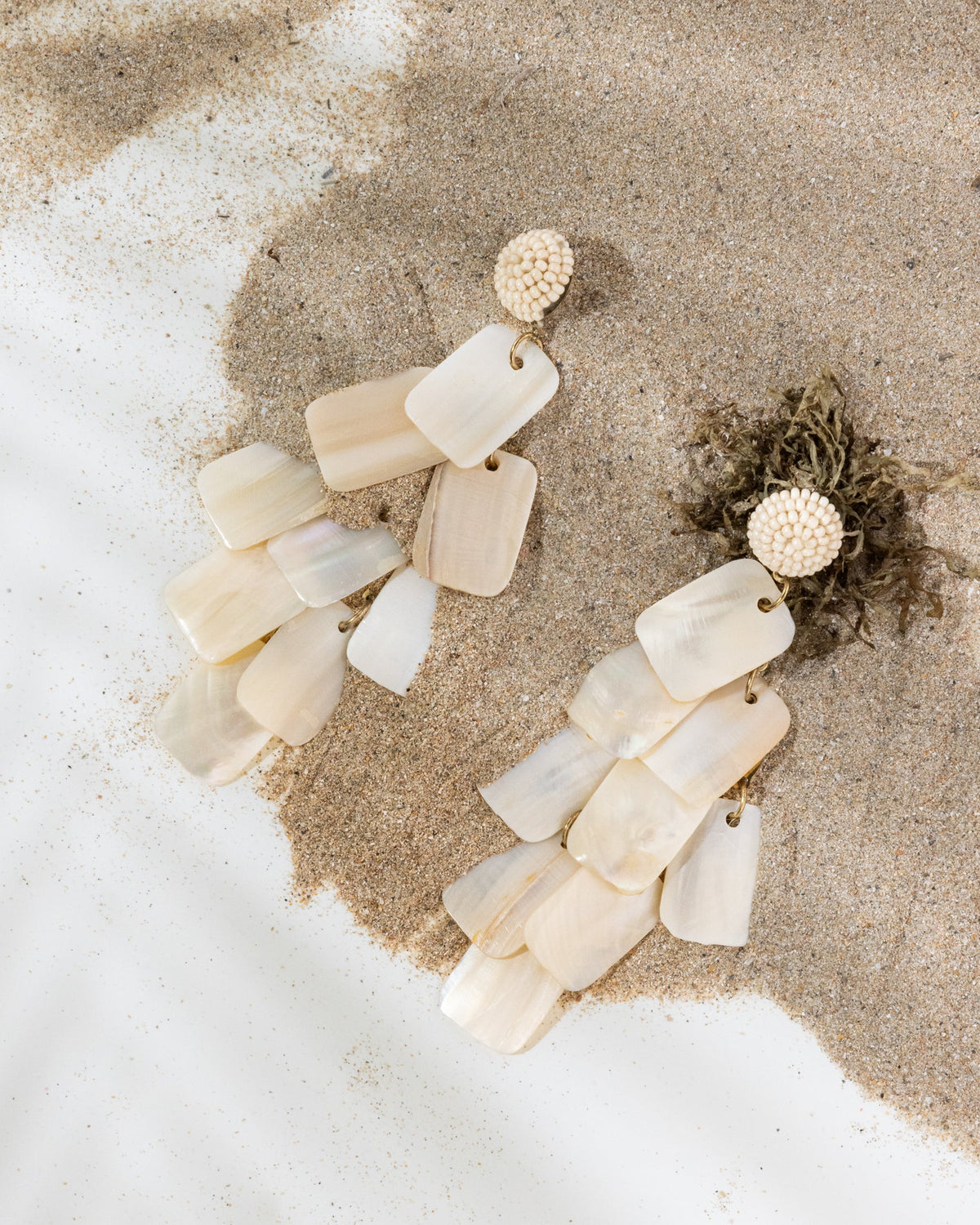 Statement Shell Earrings