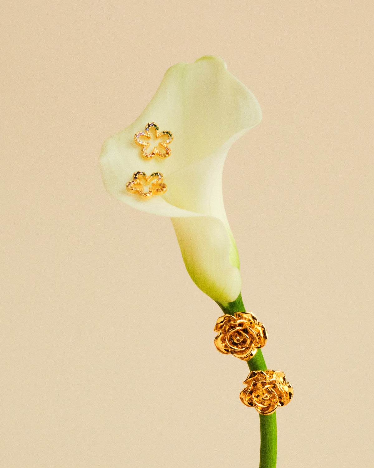 16K Plated La Rosa Earrings