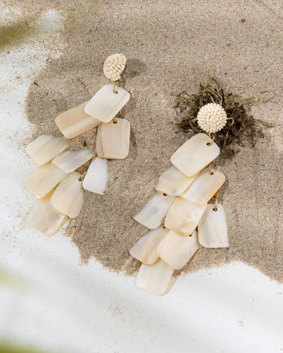 Statement Shell Earrings