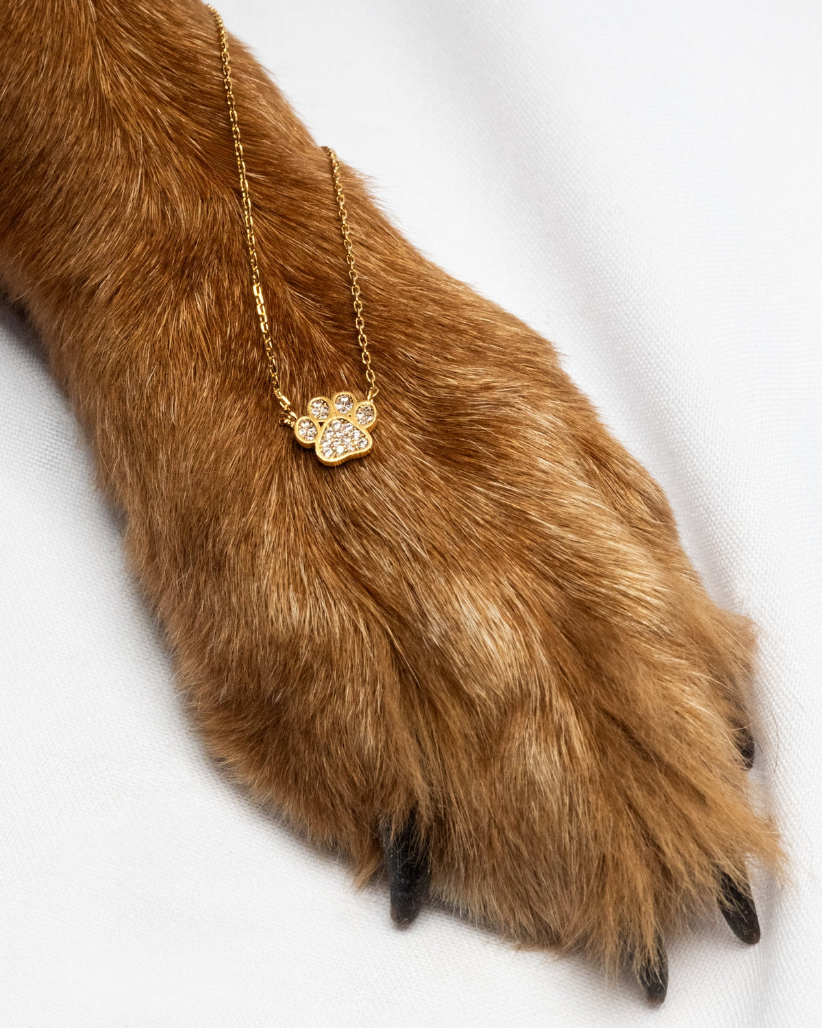 16K Plated Paw Necklace