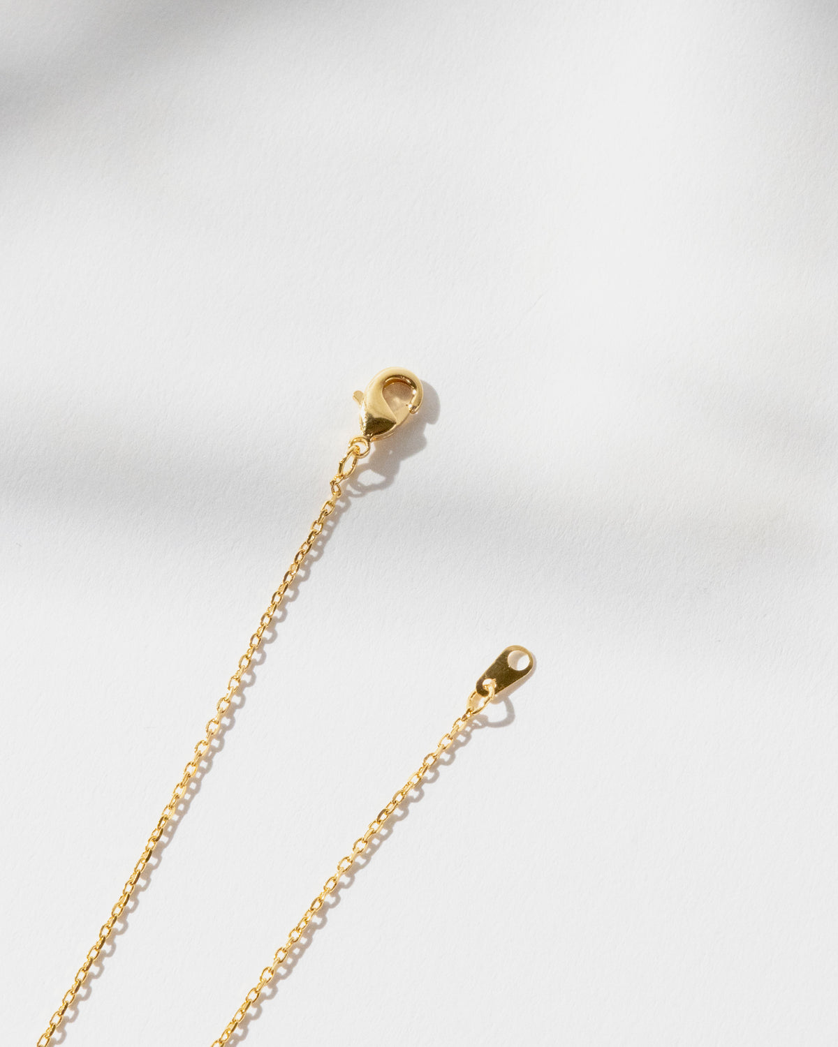 16K Plated Meu Necklace