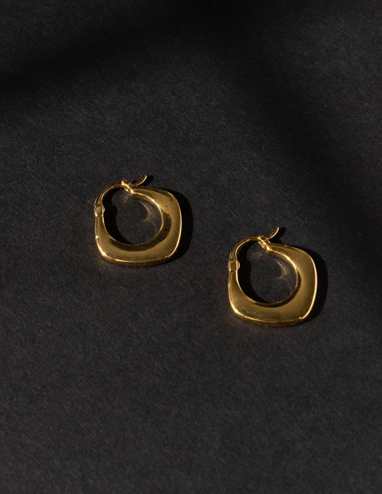 16K Plated Archive Earrings