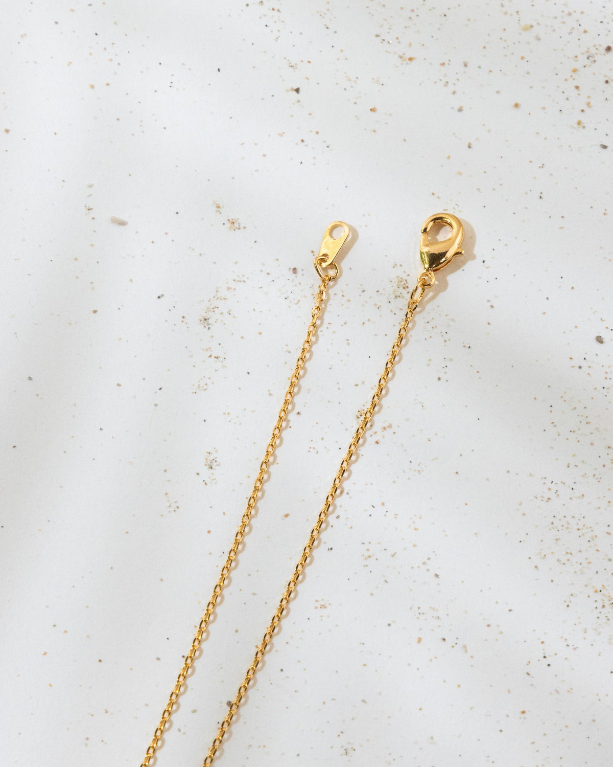 16K Plated Big Ring Necklace