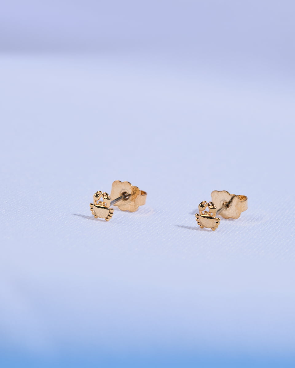18K Plated Crabby Posts