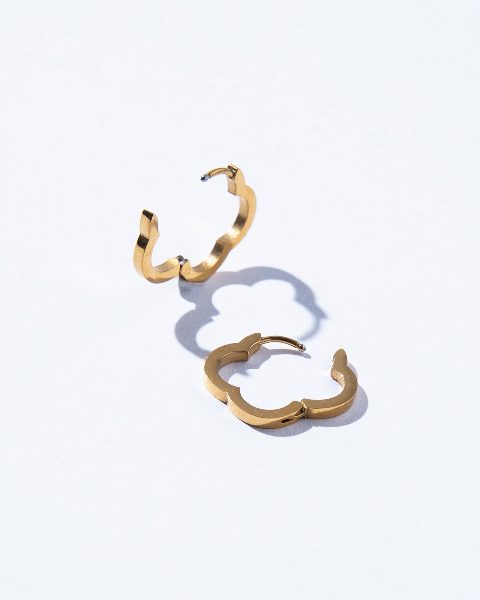 18K Plated Luck Earrings
