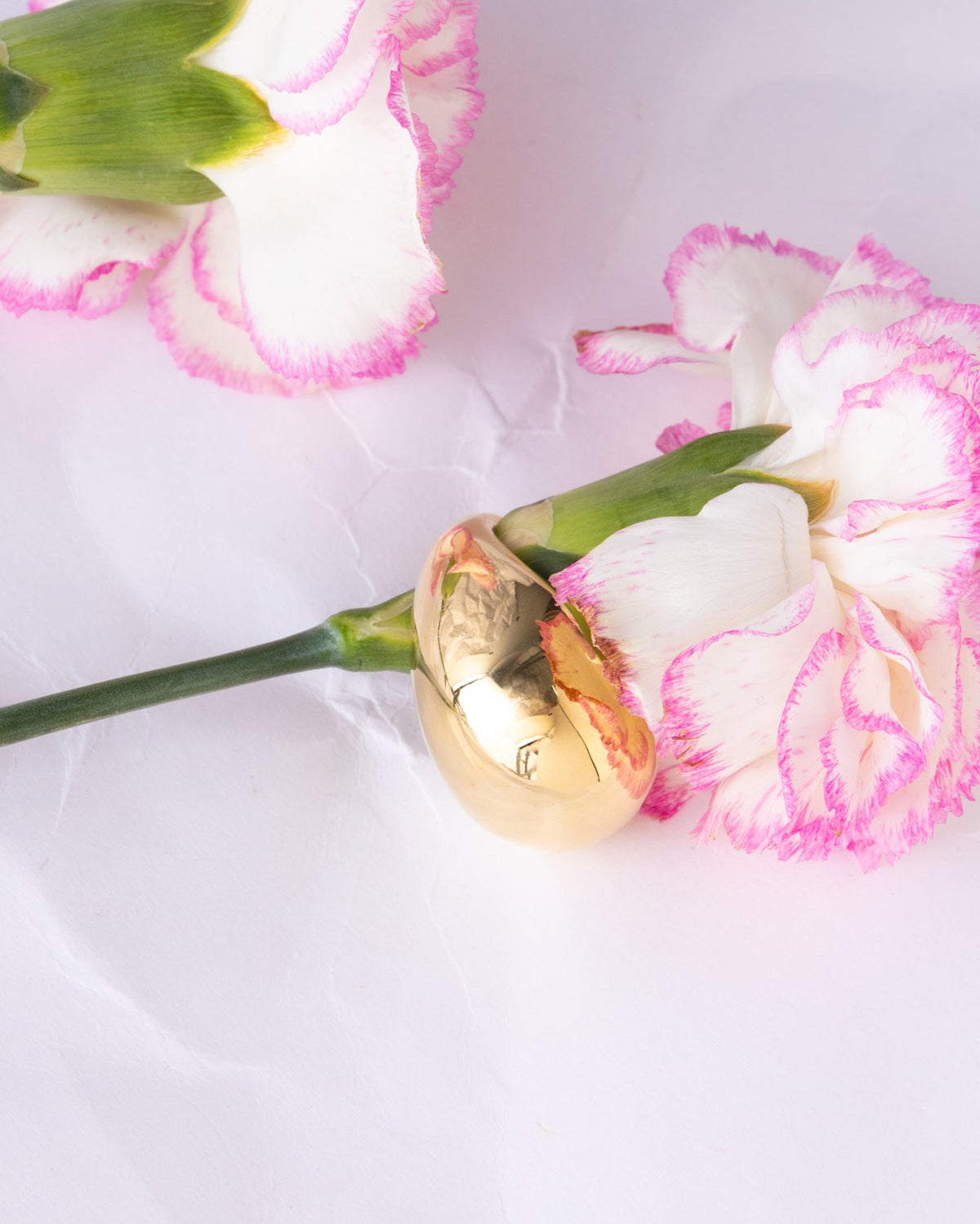 18K Plated Major Ring