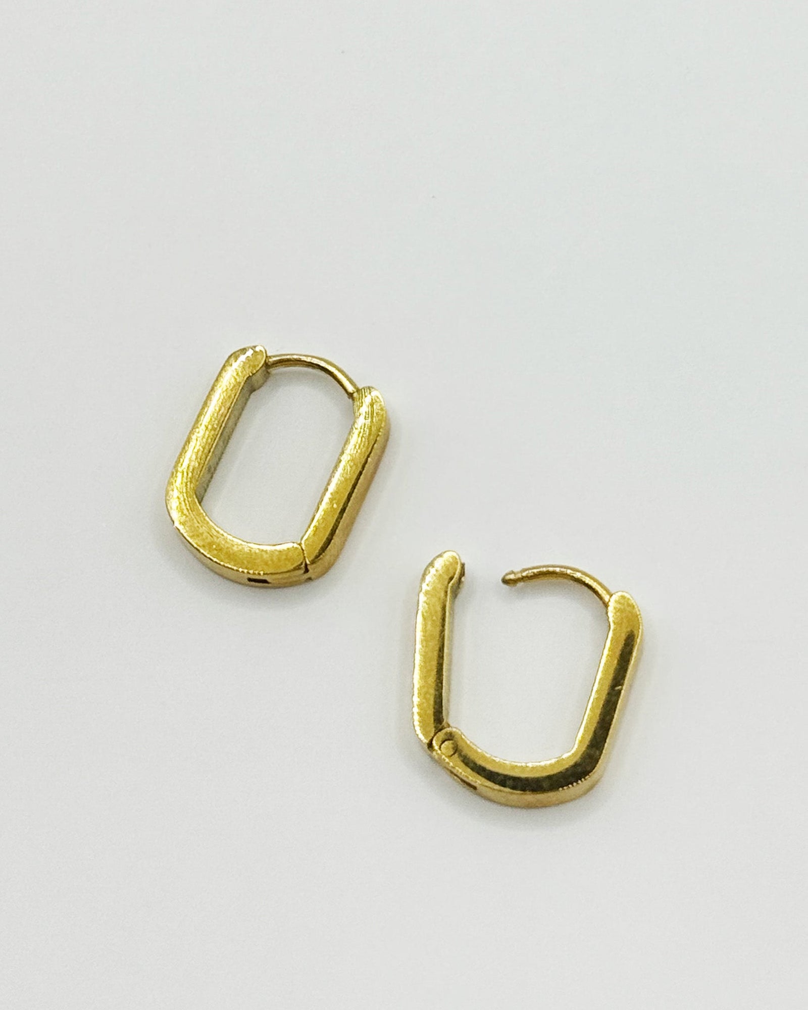 18K Plated Profile Earrings