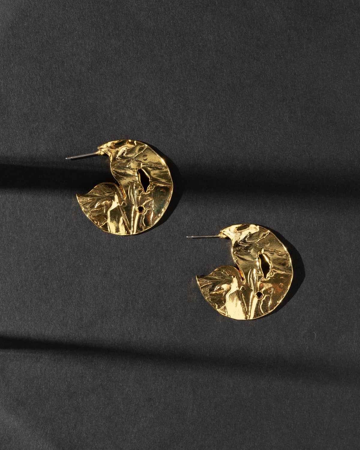 16K Plated A Special Thing Earrings