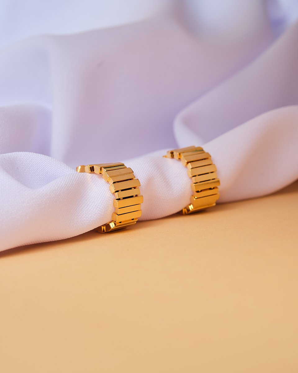 18K Plated Ferrum Earrings