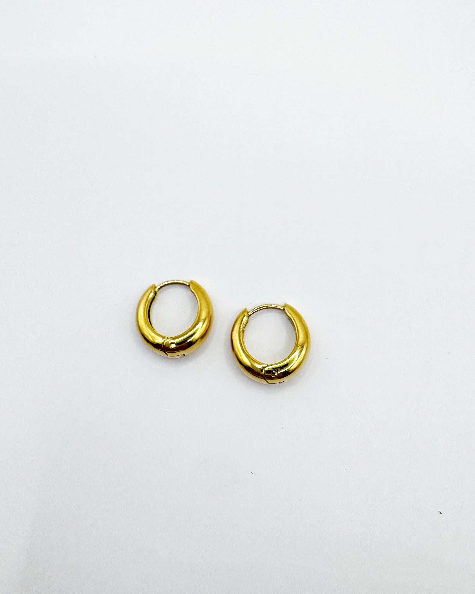 18K Plated Yarita Earrings