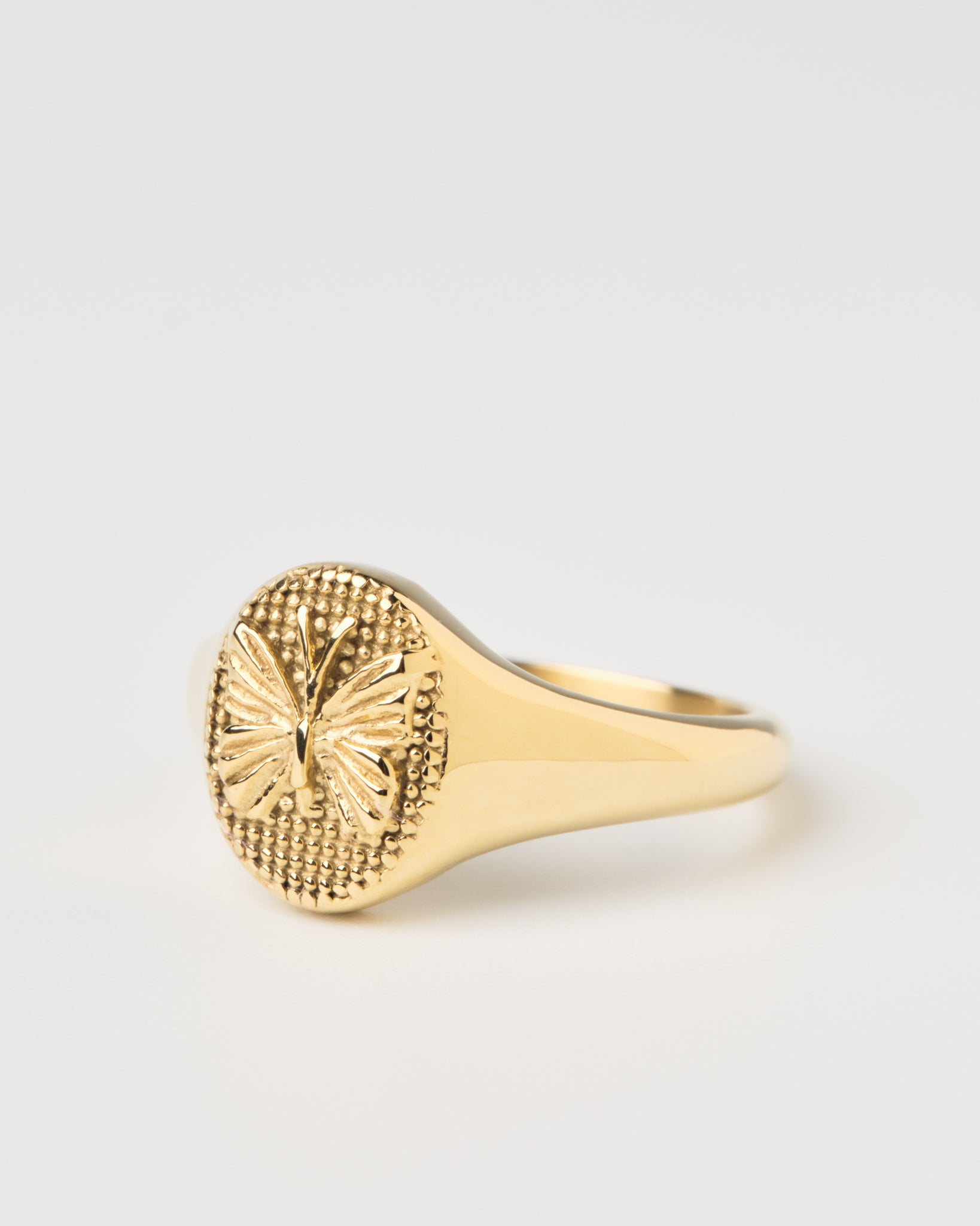 14K Plated Emerging Ring