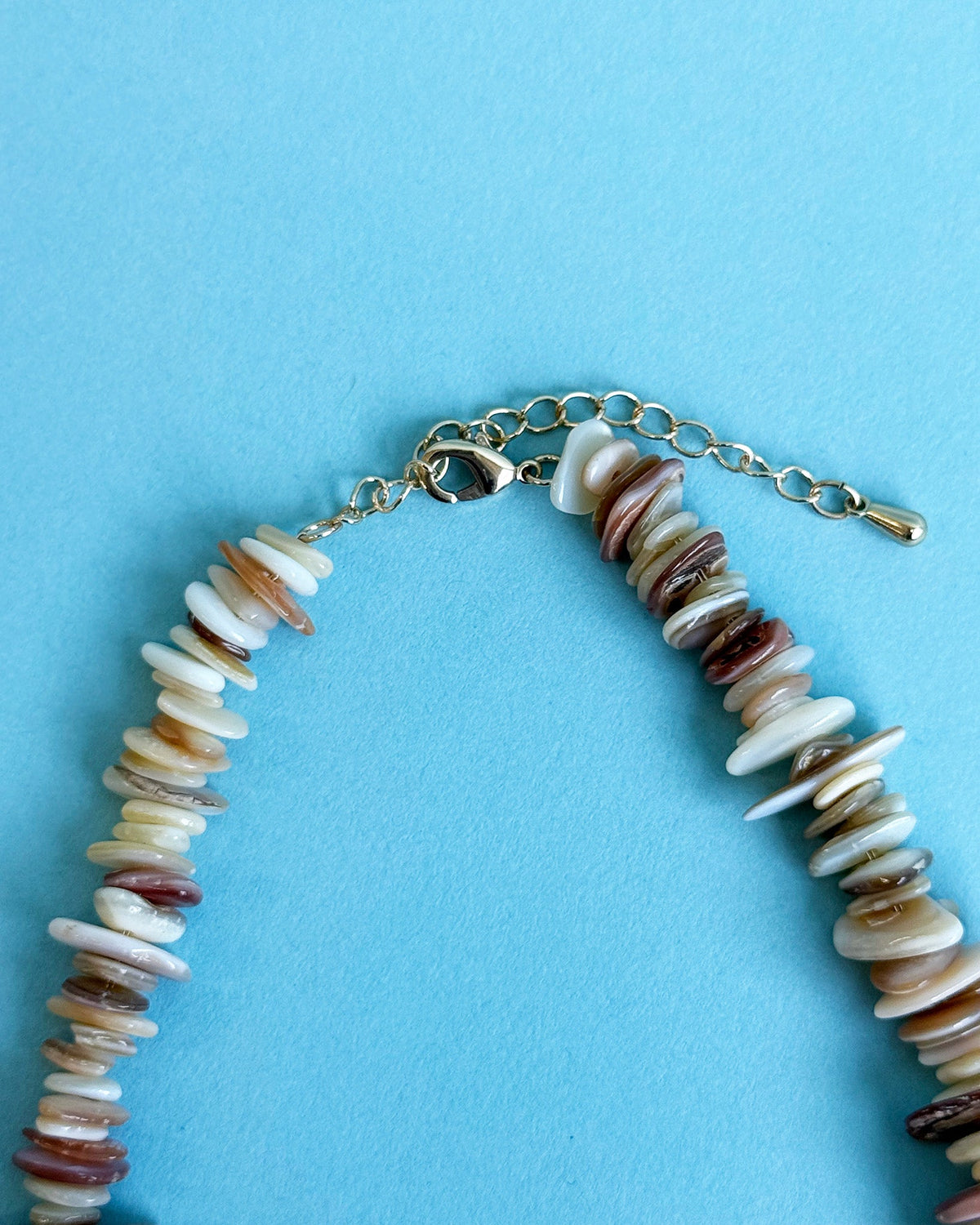 Lori Shell Necklace