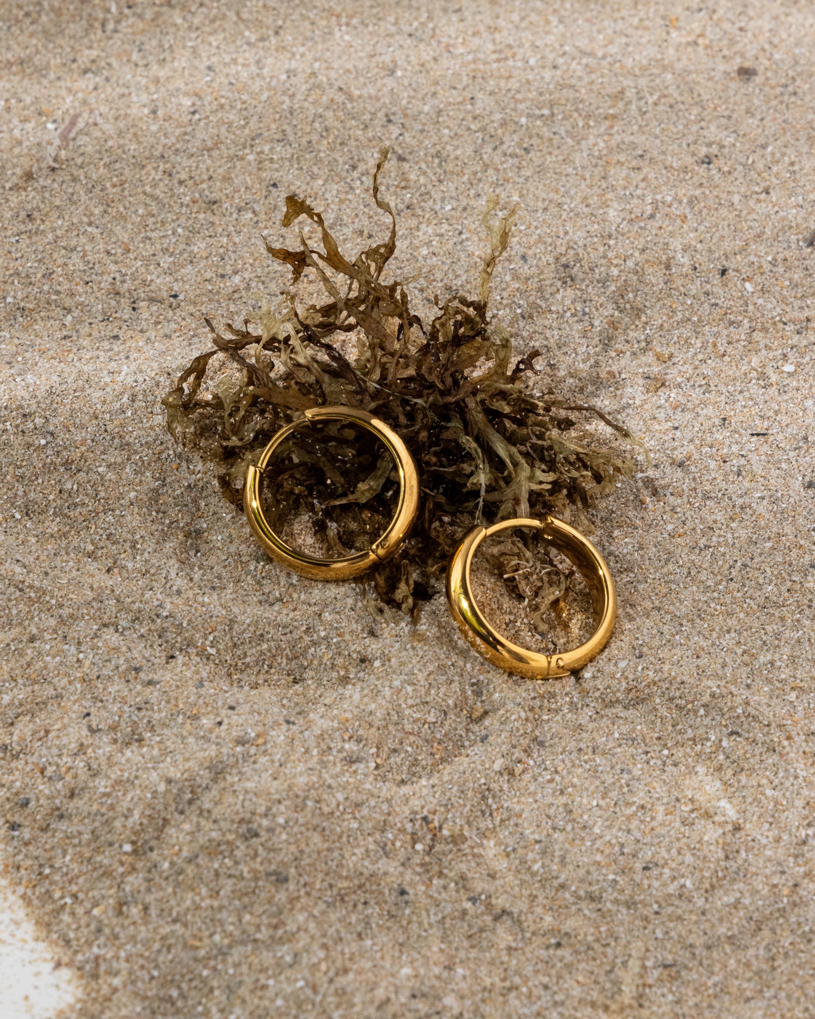 18K Plated Sena Hoops