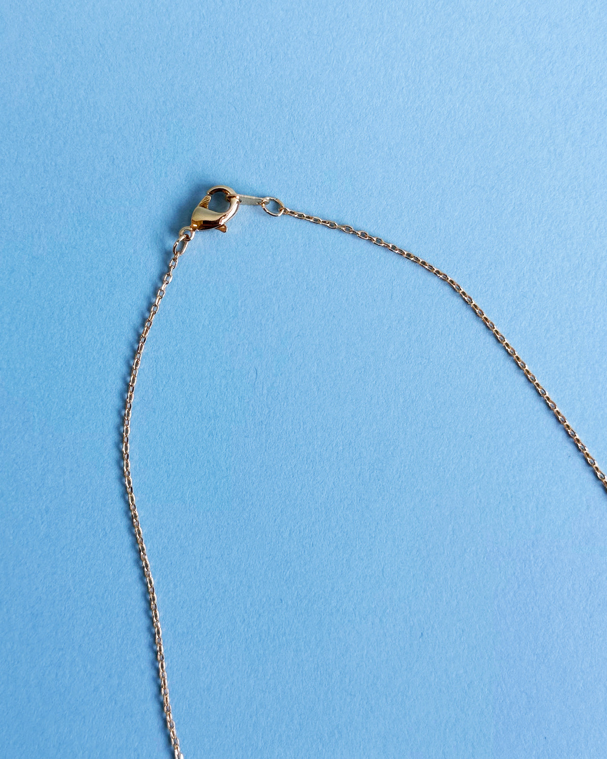 16K Plated Turk Shell Necklace