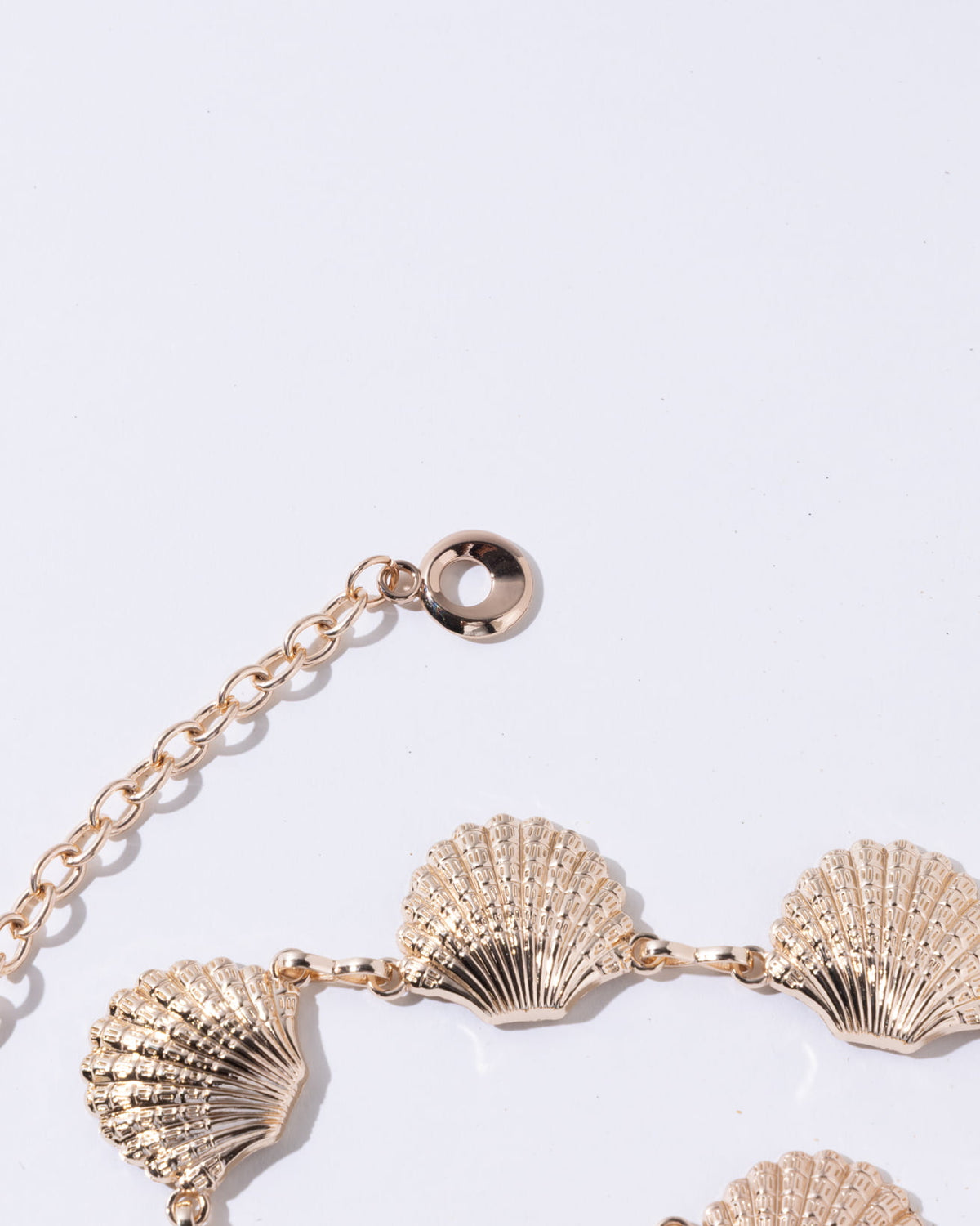 Shells Belt