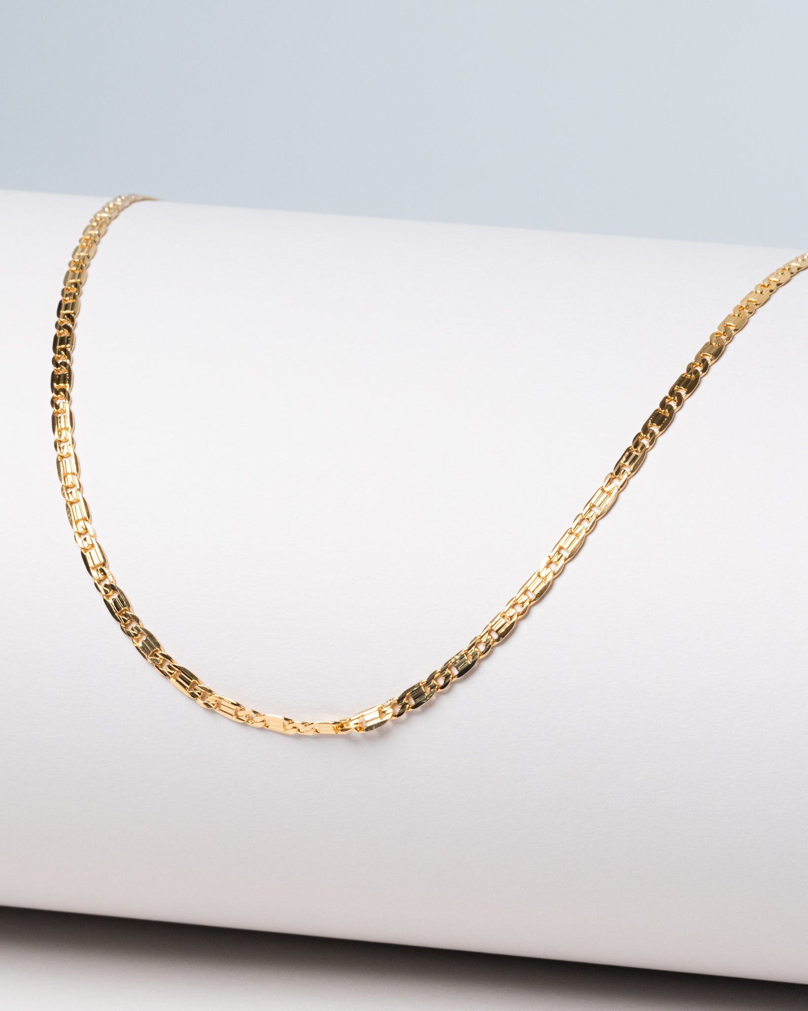18K Plated Long Chain Necklace