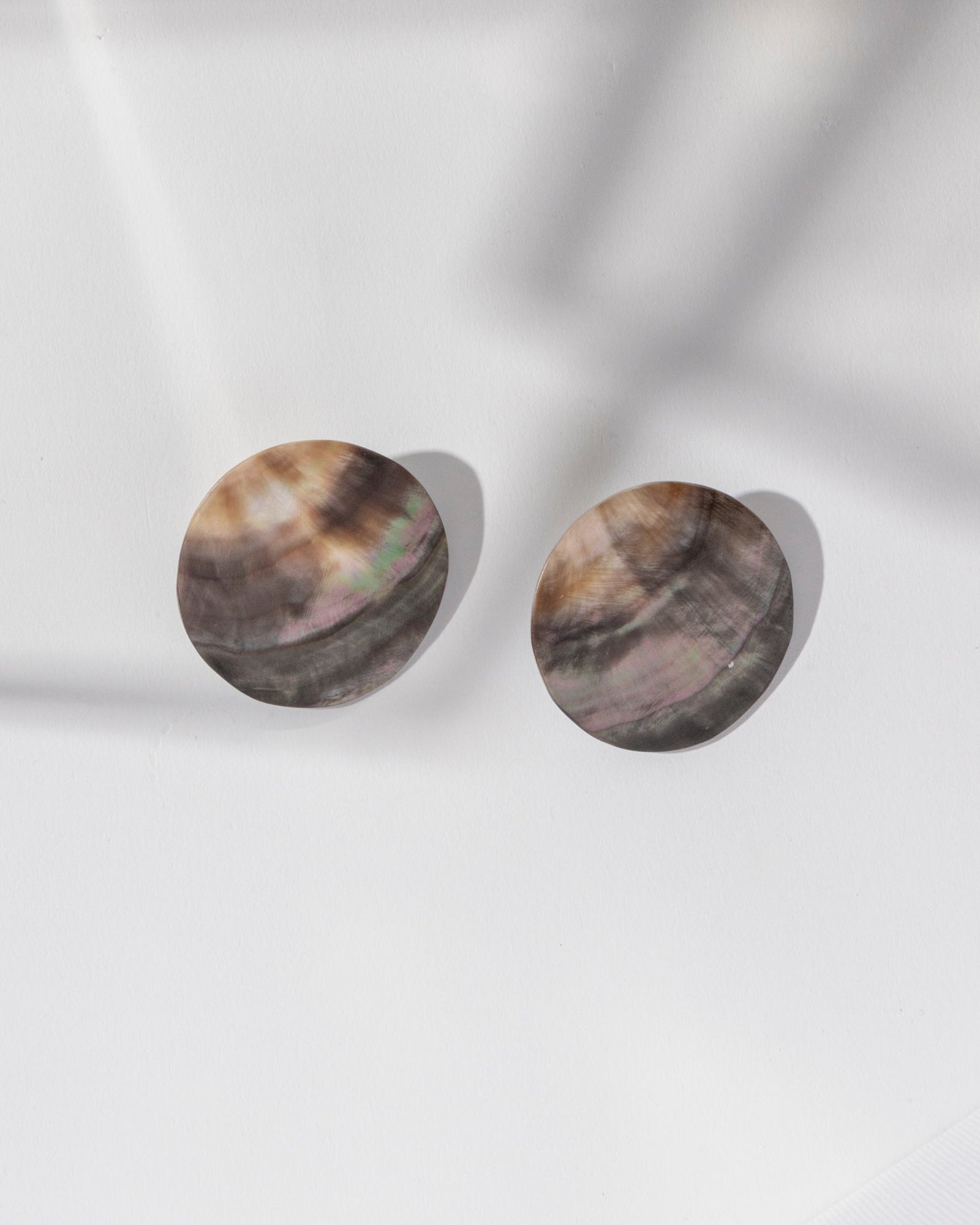 Belle Shell Earrings