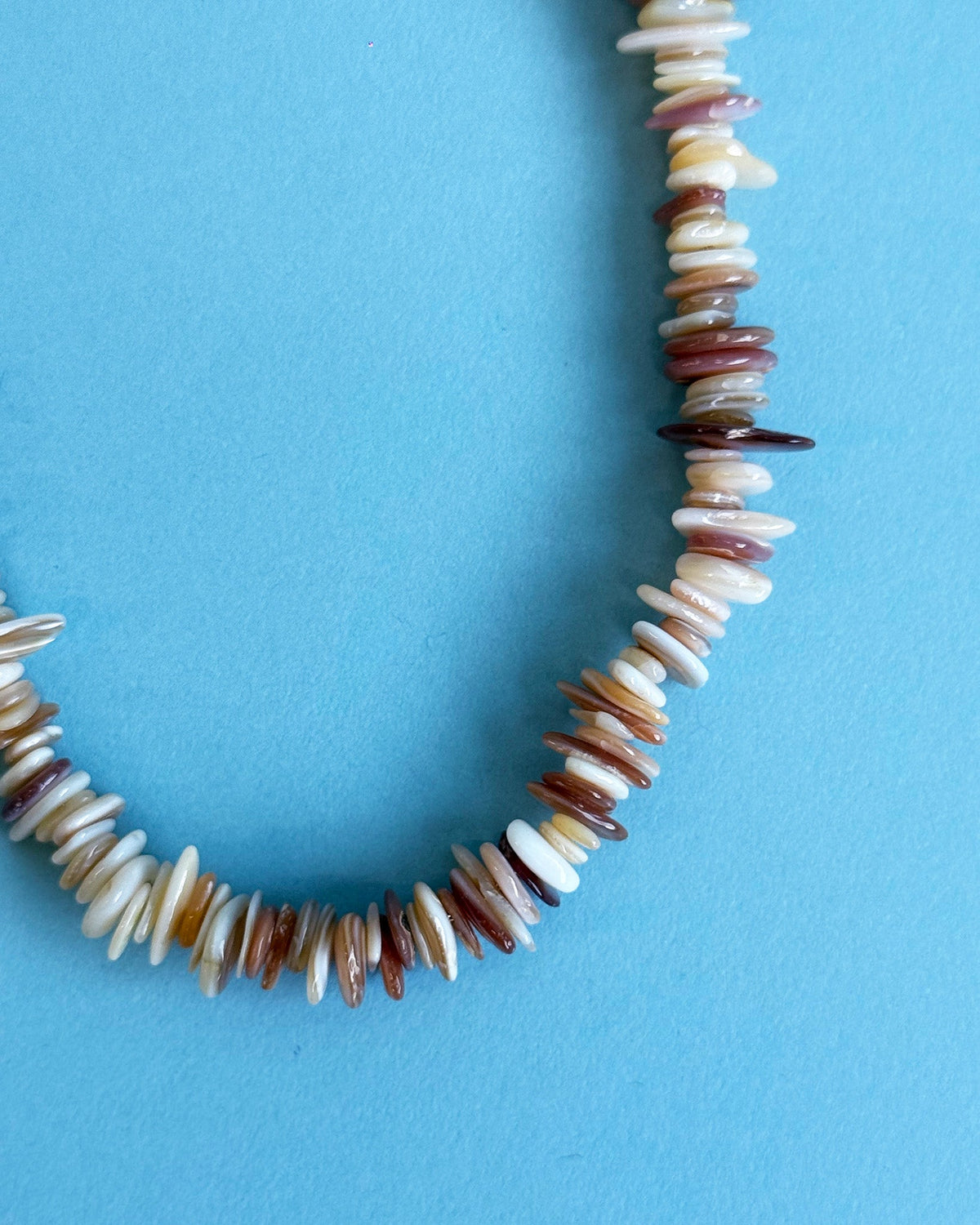Lori Shell Necklace