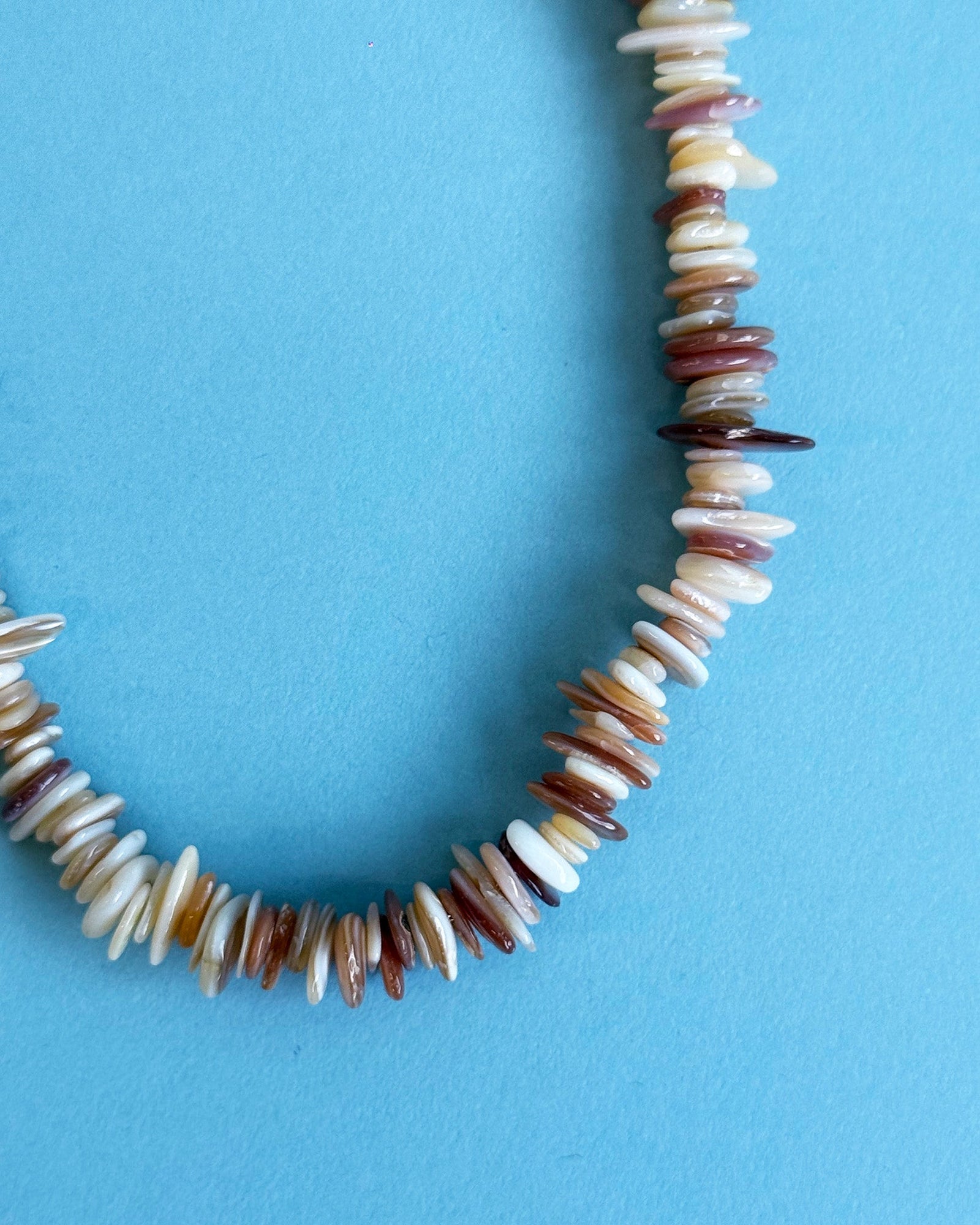 Lori Shell Necklace