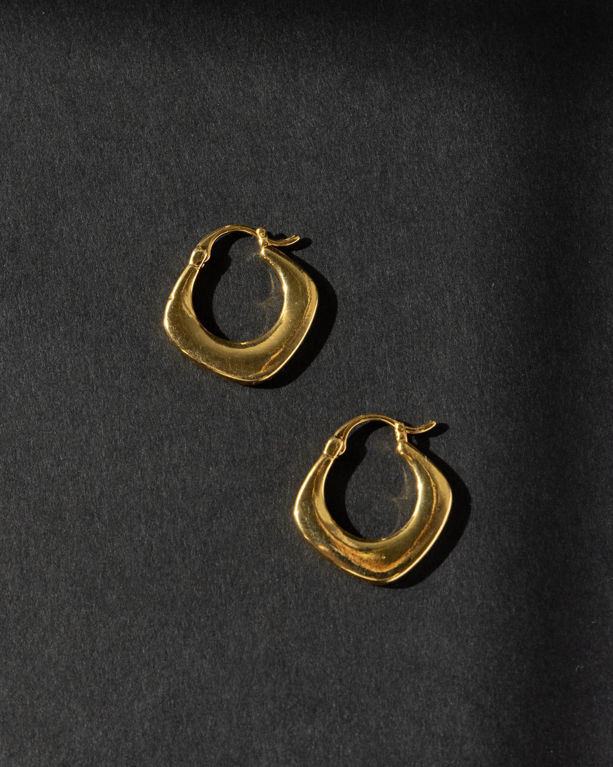 16K Plated Archive Earrings