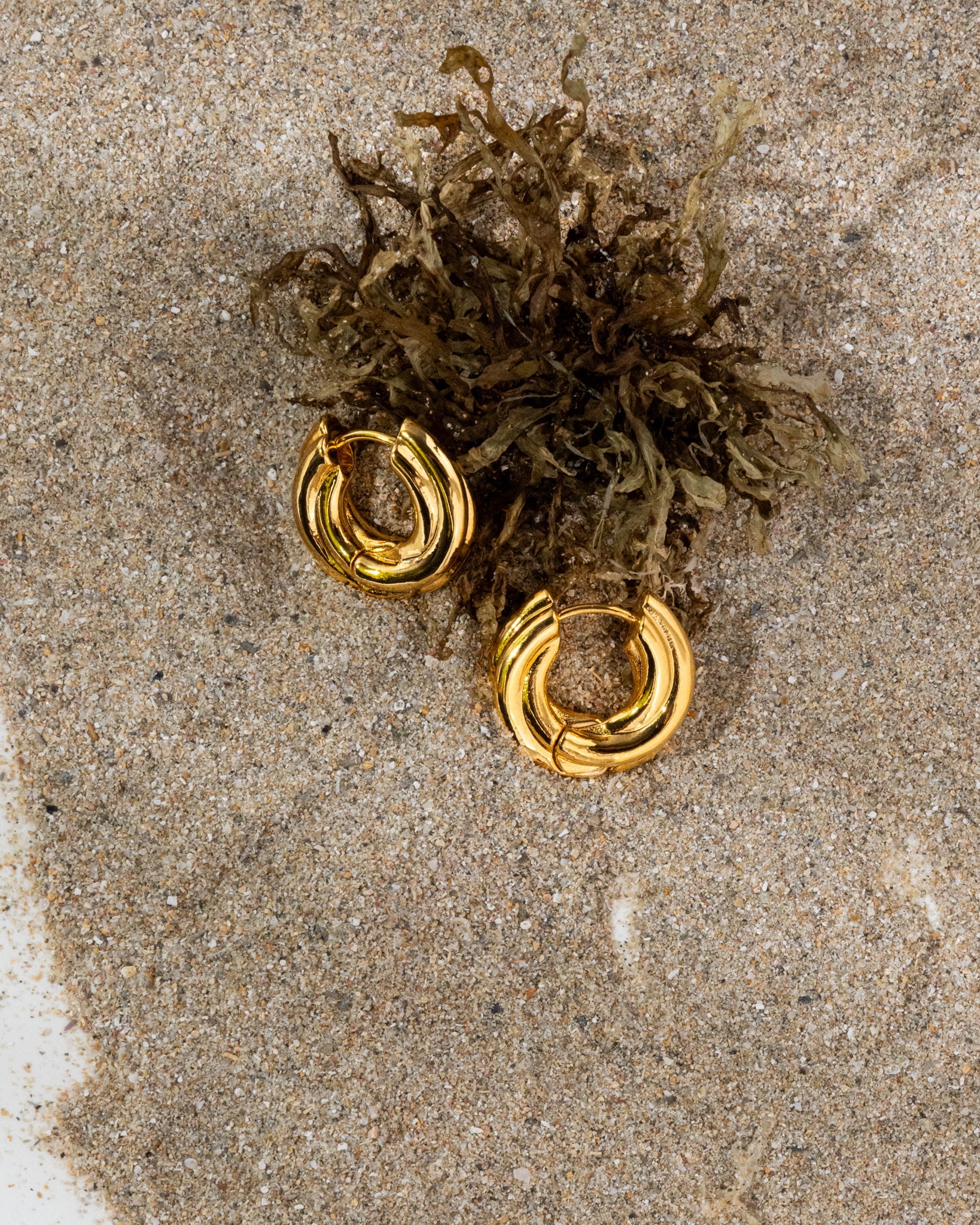 18K Plated Claro Hoops