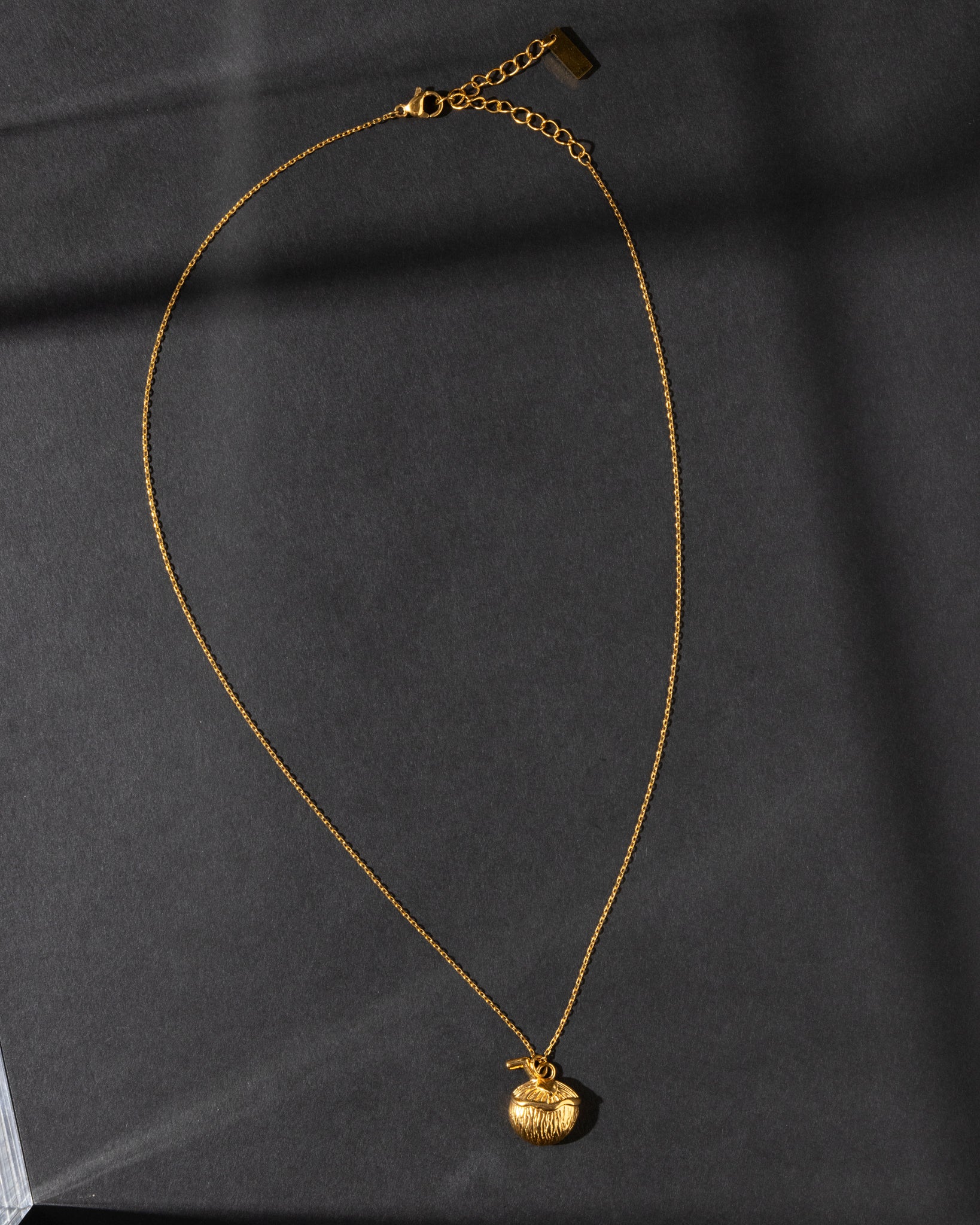 18K Plated Coco Necklace
