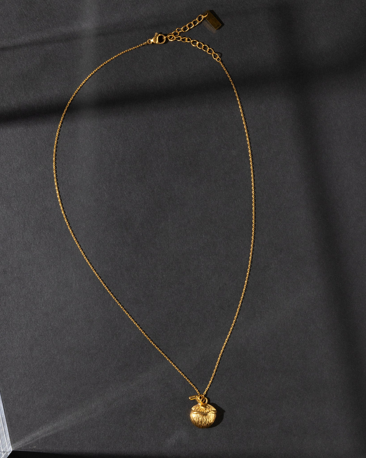 18K Plated Coco Necklace